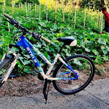 International House Of Journalists Отель Золотые Пески