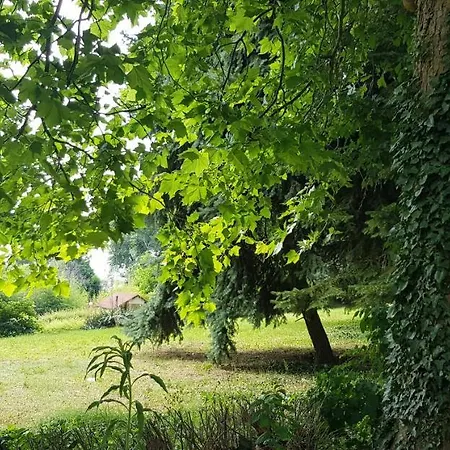 International House Of Journalists Отель Золотые Пески