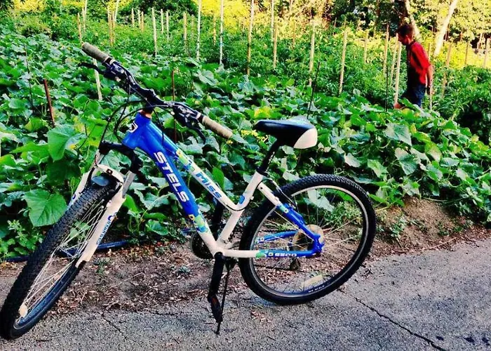 International House Of Journalists מלון גולדן סנדס