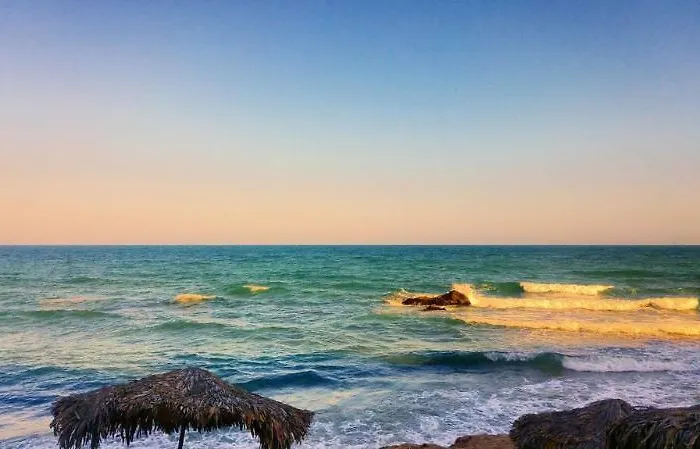 מלון International House Of Journalists גולדן סנדס